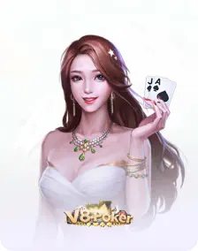 vn